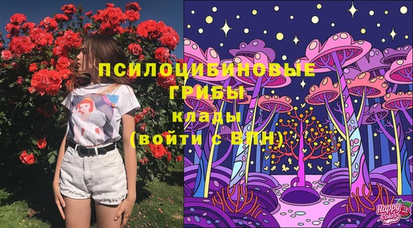 крисы Аркадак