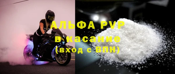 крисы Аркадак
