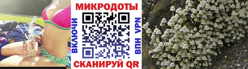 купить   Чистополь  Псилоцибиновые грибы прущие грибы 